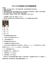 2025-2026学年海南省三亚市中考猜题物理试卷（含答案解析）