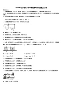 2026年辽宁省丹东市中考物理对点突破模拟试卷（含答案解析）
