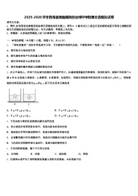 2025-2026学年青海省黄南藏族自治州中考物理全真模拟试卷（含答案解析）