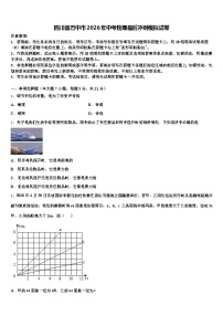 四川省巴中市2026年中考物理最后冲刺模拟试卷（含答案解析）