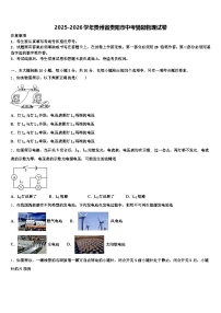 2025-2026学年贵州省贵阳市中考猜题物理试卷（含答案解析）