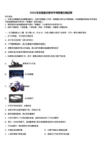 2026年安徽省合肥市中考物理五模试卷（含答案解析）