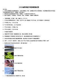 2026届贵州省中考物理四模试卷（含答案解析）