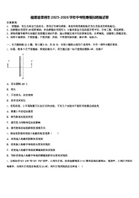 福建省漳州市2025-2026学年中考物理模拟精编试卷（含答案解析）