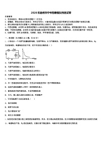 2026年德州市中考物理模拟预测试卷（含答案解析）