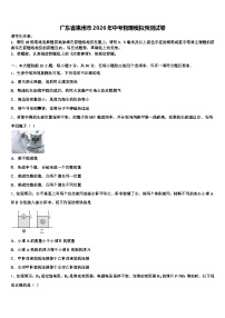 广东省惠州市2026年中考物理模拟预测试卷（含答案解析）