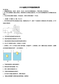 2026届黄石市中考猜题物理试卷（含答案解析）