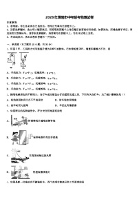 2026年濮阳市中考联考物理试卷（含答案解析）