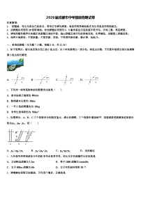 2026届成都市中考猜题物理试卷（含答案解析）