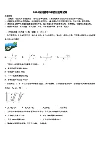 2026届成都市中考猜题物理试卷（含答案解析）