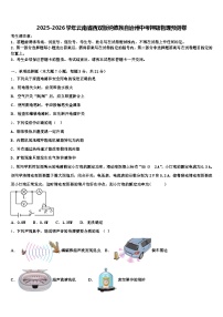 2025-2026学年云南省西双版纳傣族自治州中考押题物理预测卷（含答案解析）