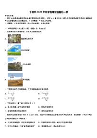 十堰市2026年中考物理考前最后一卷（含答案解析）
