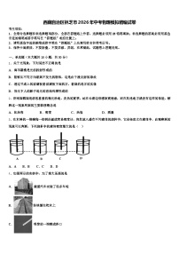 西藏自治区林芝市2026年中考物理模拟精编试卷（含答案解析）