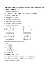河南省周口市淮阳区2025-2026学年九年级上学期1月期末物理试题-自定义类型