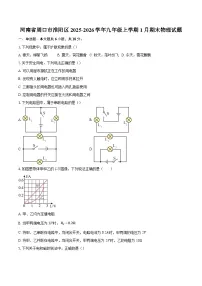 河南省周口市淮阳区2025-2026学年九年级上学期1月期末物理试题-自定义类型