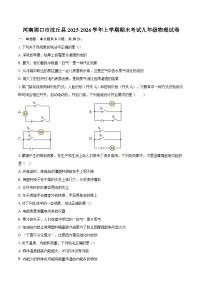 河南周口市沈丘县2025-2026学年上学期期末考试九年级物理试卷-自定义类型