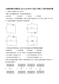 河南省南阳市桐柏县2025-2026学年九年级上学期2月期末物理试题-自定义类型