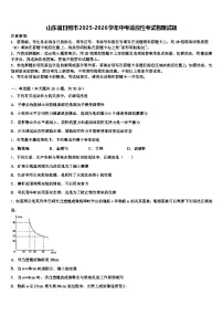 山东省日照市2025-2026学年中考适应性考试物理试题（含答案解析）