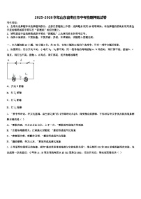 2025-2026学年山东省枣庄市中考物理押题试卷（含答案解析）