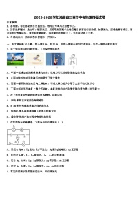 2025-2026学年海南省三亚市中考物理四模试卷（含答案解析）