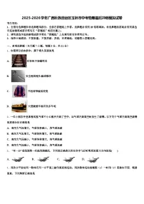 2025-2026学年广西壮族自治区玉林市中考物理最后冲刺模拟试卷（含答案解析）