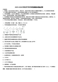 2025-2026学年济宁市中考物理模拟精编试卷（含答案解析）