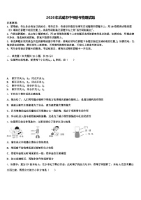 2026年武威市中考联考物理试题（含答案解析）