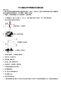 2026届保山市中考物理适应性模拟试题（含答案解析）