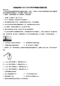 安徽省宿州市2025-2026学年中考物理全真模拟试题（含答案解析）