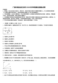 广西壮族自治区玉林市2026年中考物理全真模拟试卷（含答案解析）