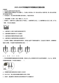 2025-2026学年渭南市中考物理适应性模拟试题（含答案解析）