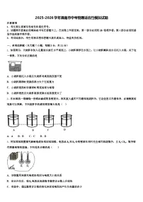 2025-2026学年渭南市中考物理适应性模拟试题（含答案解析）