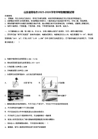 山东省青岛市2025-2026学年中考物理四模试卷（含答案解析）