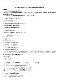 2025-2026学年辽宁省丹东市中考物理模试卷（含答案解析）