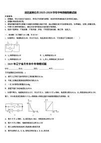 湖北省黄石市2025-2026学年中考四模物理试题（含答案解析）
