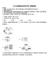 2026年西藏自治区拉萨市中考一模物理试题（含答案解析）