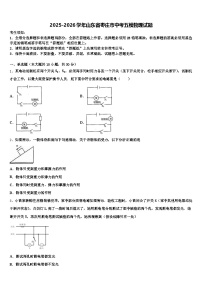 2025-2026学年山东省枣庄市中考五模物理试题（含答案解析）