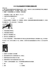 2026年山东省威海市中考物理全真模拟试卷（含答案解析）