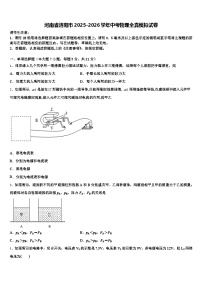 河南省洛阳市2025-2026学年中考物理全真模拟试卷（含答案解析）