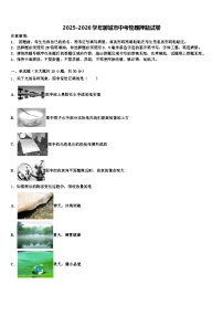 2025-2026学年聊城市中考物理押题试卷（含答案解析）