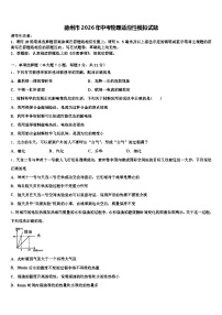 德州市2026年中考物理适应性模拟试题（含答案解析）
