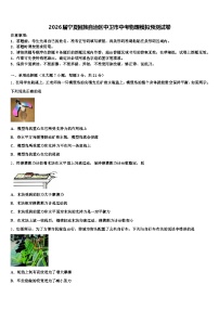 2026届宁夏回族自治区中卫市中考物理模拟预测试卷（含答案解析）