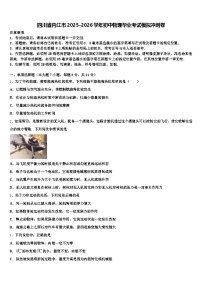 四川省内江市2025-2026学年初中物理毕业考试模拟冲刺卷（含答案解析）