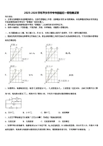 2025-2026学年萍乡市中考考前最后一卷物理试卷（含答案解析）
