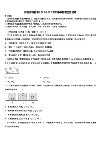 陕西省榆林市2025-2026学年中考物理仿真试卷（含答案解析）