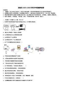 洛阳市2025-2026学年中考物理押题卷（含答案解析）