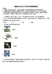 海南省三亚市2026年中考冲刺卷物理试题（含答案解析）