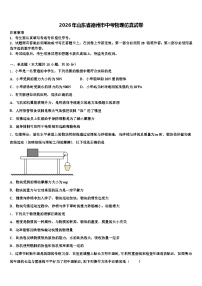 2026年山东省德州市中考物理仿真试卷（含答案解析）