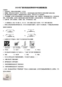 2026年广西壮族自治区柳州市中考五模物理试题（含答案解析）