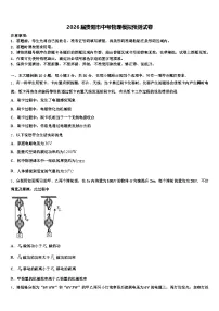 2026届贵阳市中考物理模拟预测试卷（含答案解析）